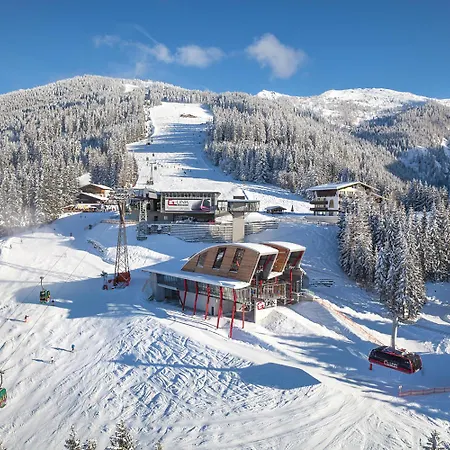 Nr 3 Alpenstern Wagrain