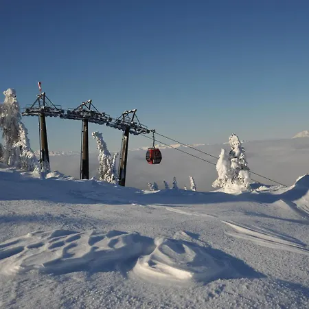 Nr 3 Alpenstern Wagrain