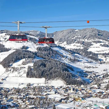 Nr 3 Alpenstern *