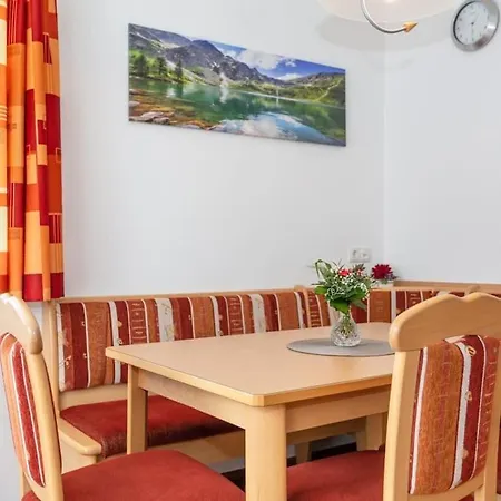 Nr 3 Alpenstern Apartmán Wagrain