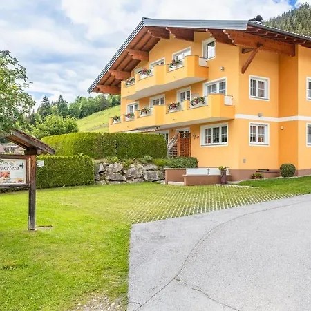 Nr 3 Alpenstern *
